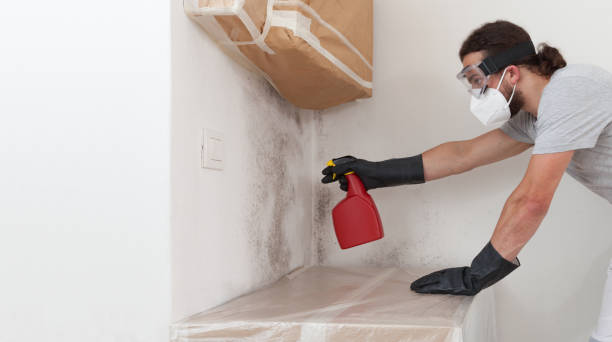 Professional Bathroom Mold Removal technician working in Pottersdale, PA