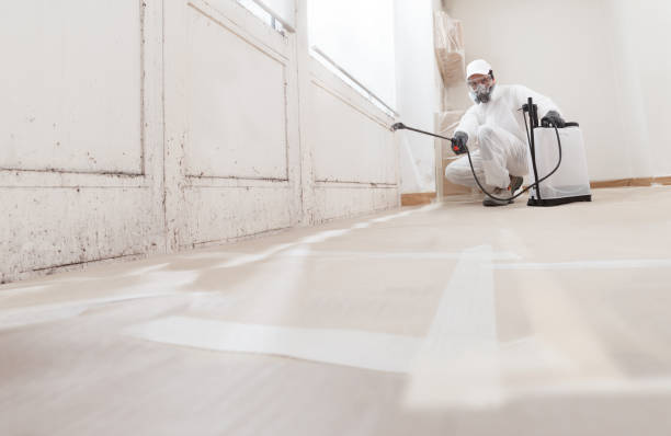 24/7 Emergency Bathroom Mold Removal experts in Pottersdale, PA