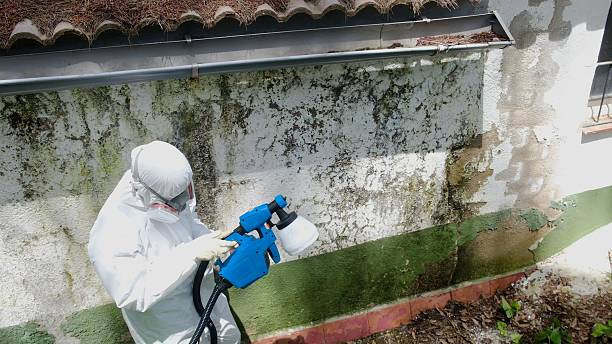Trusted Mold Removal service in Pottersdale, PA - Cheap Mold Removal